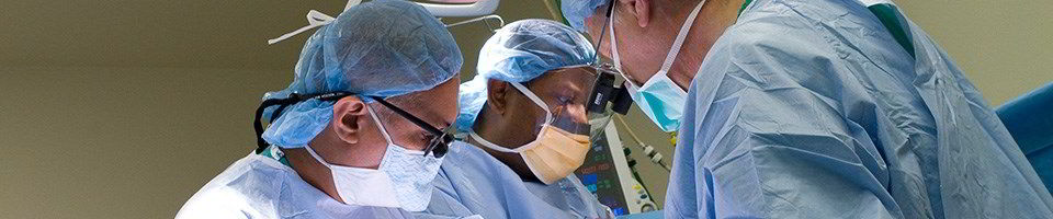 Meet the Adult Liver Transplant Physicians